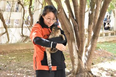 點(diǎn)擊查看原圖